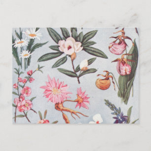 Vintage Blume Postkarte