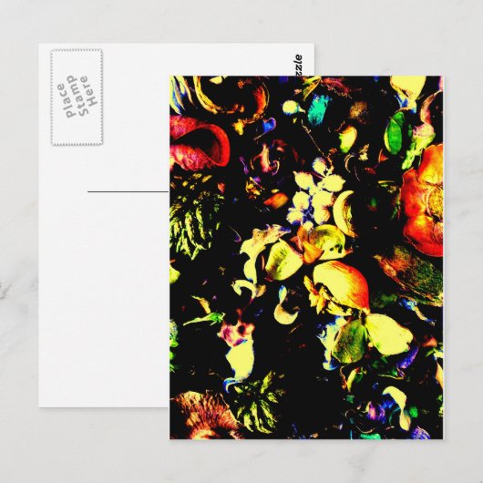 Vintage Blume Postkarte (Vorne/Hinten)