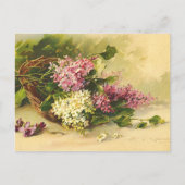 Vintage Blume Postkarte (Vorderseite)