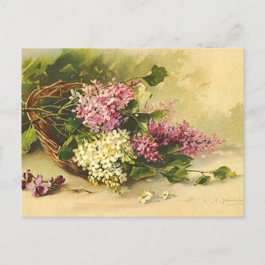 Vintage Blume Postkarte (Vorderseite)