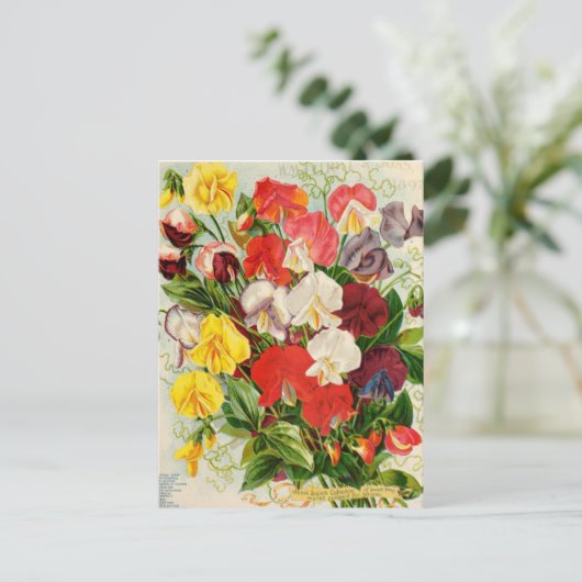 Vintage Blume Postkarte (Stehend Vorderseite)