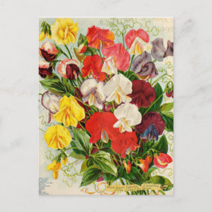 Vintage Blume Postkarte