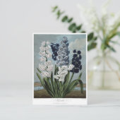 Vintage Blume Postkarte (Stehend Vorderseite)