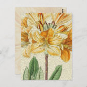 Vintage Blume Postkarte (Vorne/Hinten)
