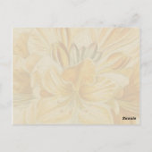 Vintage Blume Postkarte (Rückseite)