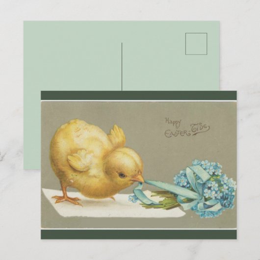 Vintage Blume Postkarte (Vorne/Hinten)