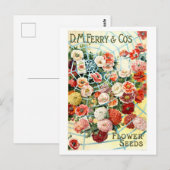 Vintage Blume Postkarte (Vorne/Hinten)