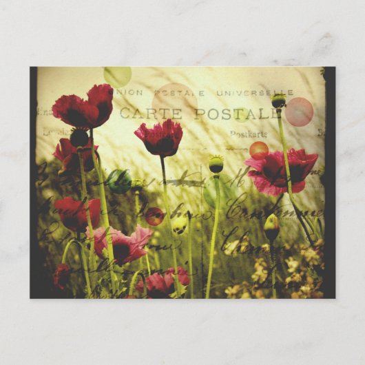 Vintage Blume Postkarte (Vorderseite)