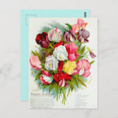 Vintage Blume Postkarte (Vorne/Hinten)