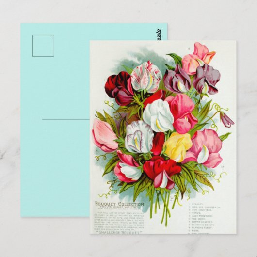 Vintage Blume Postkarte (Vorne/Hinten)