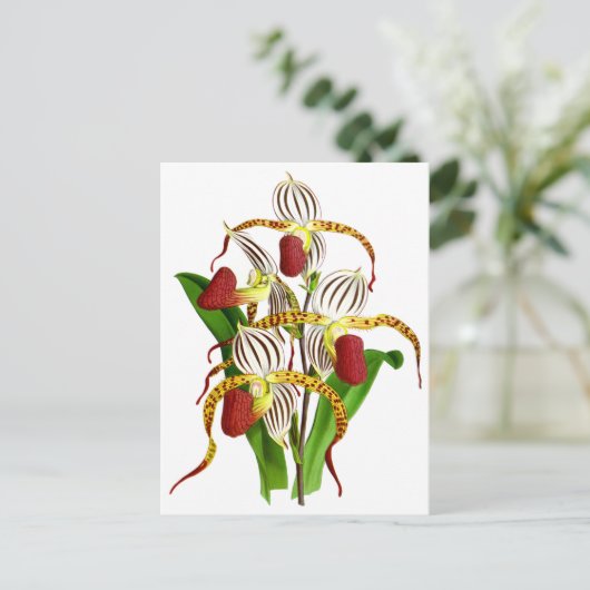 Vintage Blume Postkarte (Stehend Vorderseite)