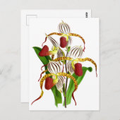 Vintage Blume Postkarte (Vorne/Hinten)