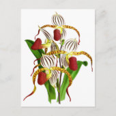 Vintage Blume Postkarte (Vorderseite)