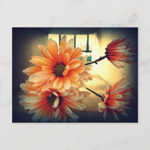 Vintage Blume Postkarte
