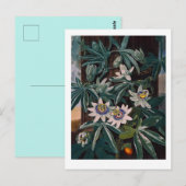 Vintage Blume Postkarte (Vorne/Hinten)