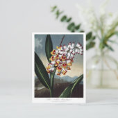 Vintage Blume Postkarte (Stehend Vorderseite)