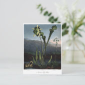Vintage Blume Postkarte (Stehend Vorderseite)
