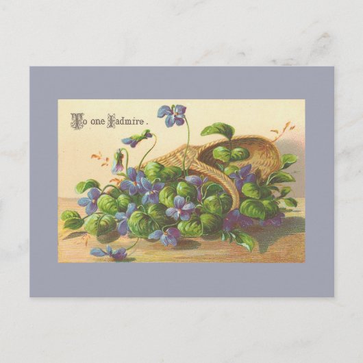 Vintage Blume Postkarten (Vorderseite)