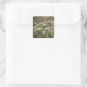 Vintage Blume Quadratischer Aufkleber (Tasche)