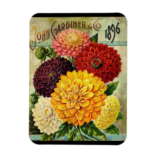 Vintage Blume Saatpackung - Flexi-Magnet Magnet (Vertikal)