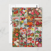 Vintage Blume Saatpackungen Gartenkollektion Postkarte (Vorne/Hinten)