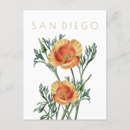 Vintage Blume San Diego Staat Postkarte