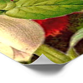 Vintage Blume und Schmetterlinge wertvolles Plakat (Ecke)