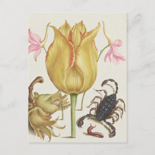 Vintage Blume und Skorpianer Postkarte