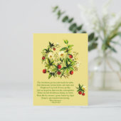 Vintage Blume von Shakespeare Erdbeeren Postca Postkarte (Stehend Vorderseite)