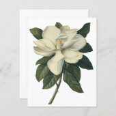 Vintage Blume White Magnolia Blossom Einladung (Vorne/Hinten)