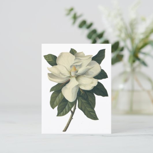 Vintage Blume White Magnolia Blossom Einladung (Stehend Vorderseite)