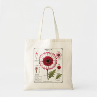 Vintage-Blumen-Anatomie-Kunst-Tasche Tragetasche
