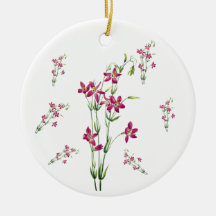 Vintage Blumen - Centaurium von Mary Vaux Walcott