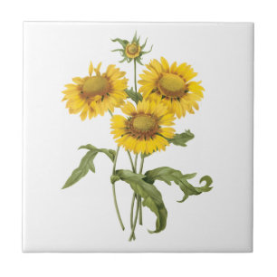 Vintage-Blumen-Deckenblume-Sonnenblume von Redoute Fliese