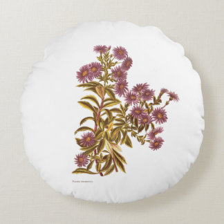 Vintage Blumen der Wissenschafts-NZ - Olearia Rundes Kissen