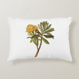 Vintage Blumen der Wissenschafts-NZ - Senecio Dekokissen