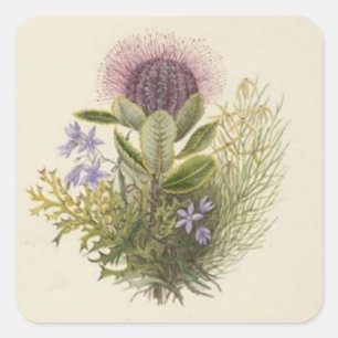 Vintage-Blumen-Distel-Aufkleber Quadratischer Aufkleber