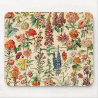 Vintage Blumen durch Adolphe Millot