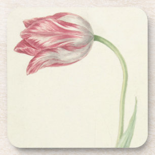 Vintage-Blumen-Fine-Art: Rosa und weiße Tulpe Untersetzer