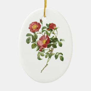 Vintage Blumen Florale rote Liebesrose von Redoute Keramikornament