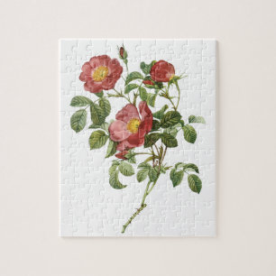 Vintage-Blumen Florale rote Liebesrose von Redoute Puzzle