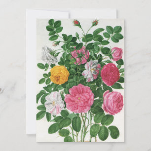 Vintage Blumen, Gartenrosen Brause Party Einladung