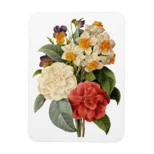 Vintage Blumen, Kamelien und Narzissen, Redoute Magnet