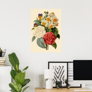 Vintage Blumen, Kamelien und Narzissen, Redoute Poster