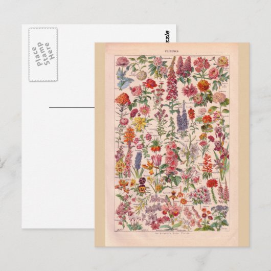 Vintage Blumen Postkarte (Vorne/Hinten)