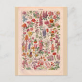 Vintage Blumen Postkarte (Vorderseite)