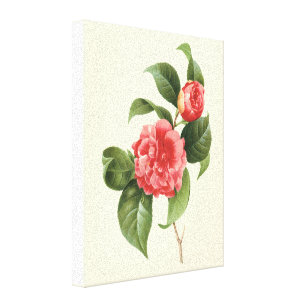 Vintage Blumen-, rosa Kamelien-Blumen durch Leinwanddruck
