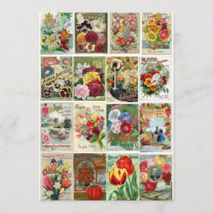 Vintage Blumen-Samen-Katalog-Collage Einladung