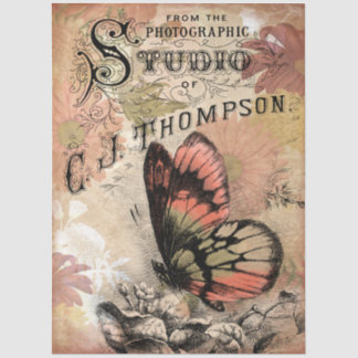 Vintage-Blumen-Schmetterling-Fotostudio-Hintergrun Seidenpapier