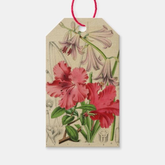 Vintage-Blumen-Tag Geschenkanhänger (Vorderseite)